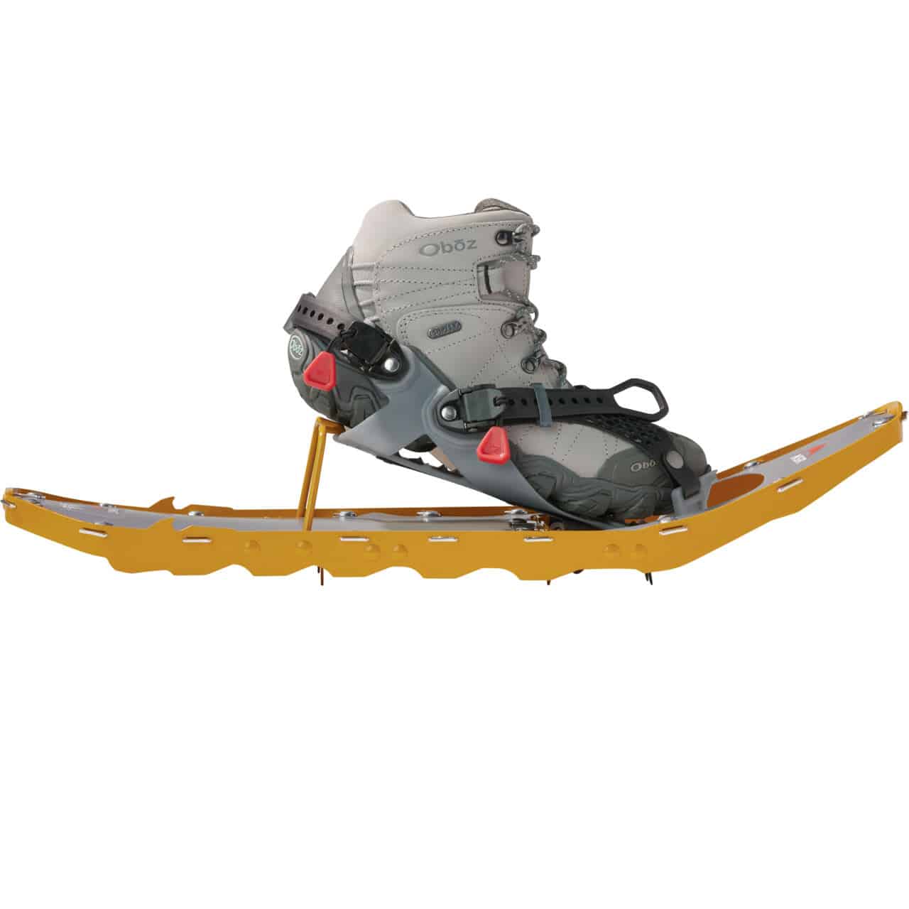 Galeriebild