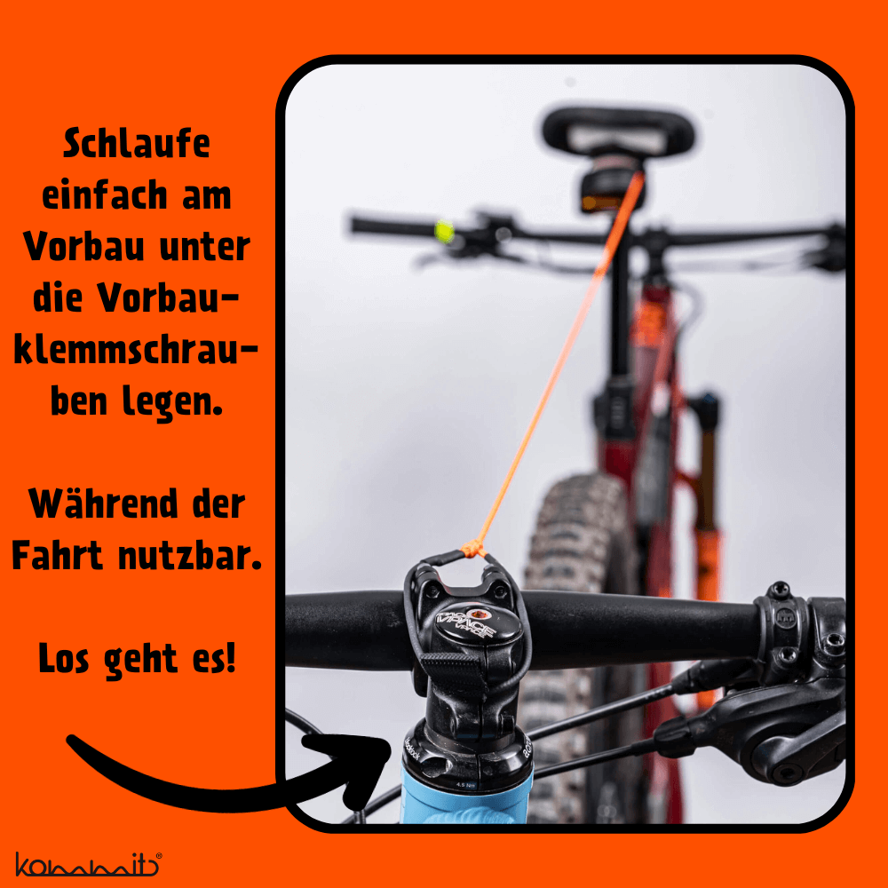 Galeriebild