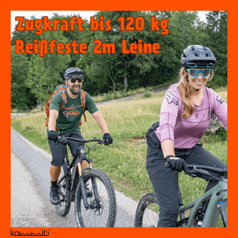 Galeriebild